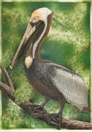 Lot - JOHN COSTIN (Florida, 20th Century), Brown Pelican ...