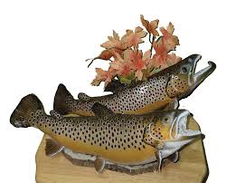 Brown Trout Mount | eBay