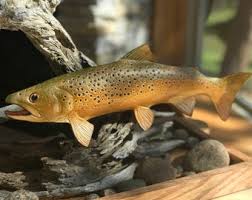 Custom Hand Crafted Leather Art Representing the Diversity ...