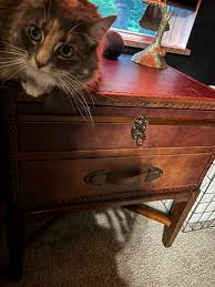 What is the best product to restore leather end tables with ...