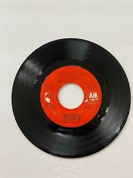 Amy Grant – "Every Heartbeat" Vinyl, 7", 45 RPM, Single Pop ...