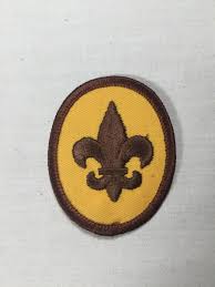 1970's Scout Rank dark brown plastic back BSA Rank Patch | eBay