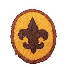 Vintage Boy Scouts BSA Scout Rank Patch Embroidered Brown ...
