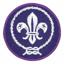 Boy Scouts of America World Crest Scout Emblem
