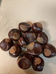 Chestnuts Some Call Buckeyes 12count | eBay