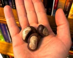 One Lucky Buckeye Fixed With Hoyt's Cologne for Luck ...