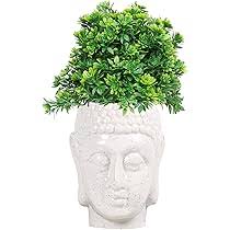 LOGRO Buddha Head Shape Plastic White Pots for Flower Pot/Plant Pots/Planter/Container for Home Garden Office Desktop Decoration (Pack of 3pc) : Amazon.in: Garden & Outdoors
