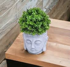 buddha plant pot indoor buddha planter | eBay