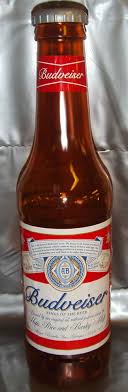 Amazon.com: Holland Plastics Adult Giant Fun Money Bottle ...