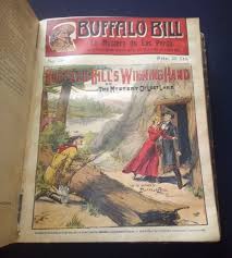 Buffalo Bill Stories - Reliure de 20 fascicules Edition Eichler: Satisfaisant Demi-cuir | L'ENCRIVORE (SLAM-ILAB)