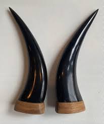 Vtg Pair Carved Buffalo Horns Black with Moose Carving on Wood Base | eBay