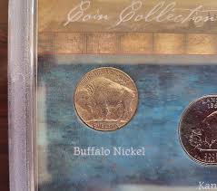 Buffalo Coin Collection Buffalo Nickel,Statehood Quarter ...