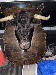 Bullhead Decor | eBay