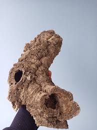 10x Cork Bark Tubes- for Vivarium, Terrarium or Decor - Etsy