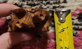 Vintage burl wood gnarled small stand for vase or fossils ...