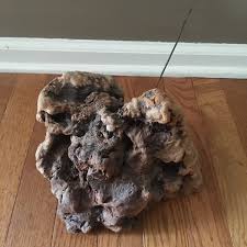 Organic Art Deco Natural Unpolished Root or Burl Sculpture w ...
