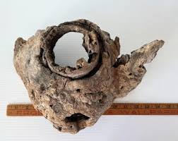 Oak Knothole / Natural Wood / Air Planter / Interesting Wood ...