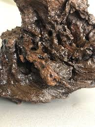 Massive Vintage Retro Burled Walnut Live edge Lamp Circa 1970s Nakashima Era | eBay