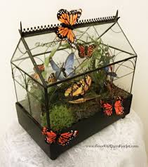 Butterfly House 1 Wardian Case Diorama - Good Old Days Florist - The Eco Florist