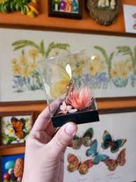 Vintage Butterfly Display | eBay
