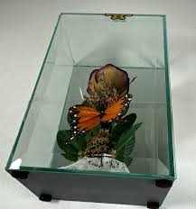 Vintage Lifesake Real Rose Flower Butterfly Glass Case Mirror Back Made USA Read | eBay