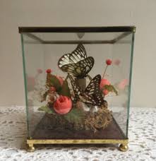 Terrarium Vintage | eBay Australia
