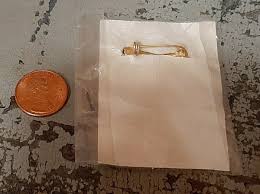 Lions club pin "Hyde Park" Lions Club, rose version, in ...