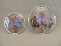 4 Greek butterflies decorated in two cases | eBay