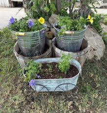 Seeking flower suggestions for whiskey barrel planters