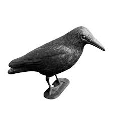Uscyo Crow Black Pigeon Fright Bird Fright Plastic Raven Pigeon Defense Bird Repellent Scarecrow | Defense of Pigeons, Gulls, Small Birds : Amazon.ca: Patio, Lawn & Garden