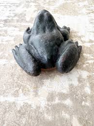 Frog • Not a Toad • Iron Garden Ornament - Etsy