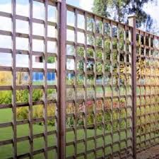 Trellis Archives - Treeland Nurseries