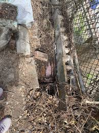 Anyone recognize this terracotta profile? : r/Oldhouses