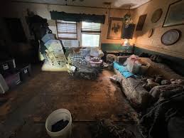 Nearly 200 frozen dead cats recovered from Porter property where 84 other animals rescued -- including raccoons, authorities say