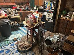 Great Pyrenees: They're just built different! Jenny learned this with Sunshine, Dog Gone Seattle's first official rescue dog. Don't miss her story plus the rescue tale of an oopsies litter of five