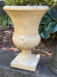 Lot # 66 - Three Pedestal Pots with Dwarf Alberta Spruce ...