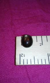 9.10ct untreated black/brown 6 rays star sapphire cabochon ...