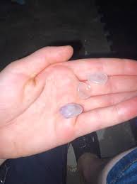 What are these part one? : r/whatsthisrock