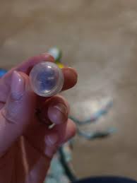 Need Help ID'ing 2000s Toy : r/toys