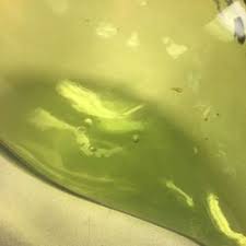 Demijohn wine Jug/large round glass bottle(vintage) for Sale ...