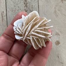 Mineralized Desert Rose Selenite Rose Desert Selenite Rosette Box 69 - Etsy