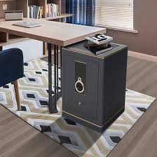 Fingerprint Safe Box, Anti-Theft Digital Security with Alarm System and Removable Shelf, Black(White) - Amazon.com