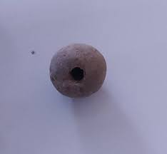 Found this on my son and daughter in laws gravel drive ...