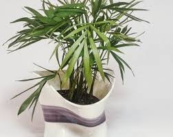 Vintage Pinched Ceramic Pottery Vase - Etsy