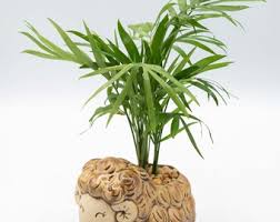 Schaf Blumentopf, süsser Tiertopf aus Keramik mit optionaler ...