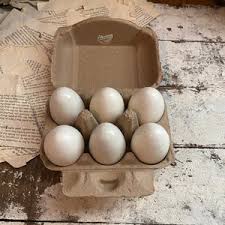 Solid White Wood Eggs Set of 7 Craft Supply Decor - Etsy