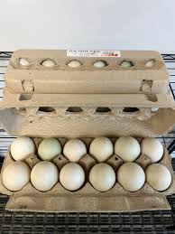 Duck eggs for sale $6/dozen! Text Brandon to order (308) 991 ...