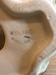 Stunning Slyvac Eagle Landing and Catching a Trout Fish ...