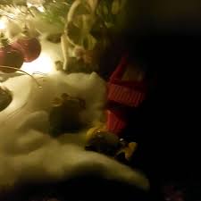 Pranjal Malu (@pranjalmalu) • Instagram photos and videos