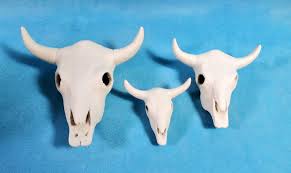Ready to Paint- Set of Three Ceramic Cow, Steer or Buffalo ...